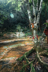 Waterfall and moss in tropical nature