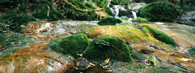 Waterfall and moss in tropical nature