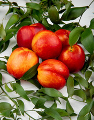 side view of fresh ripe nectarines with green leaves on white background
