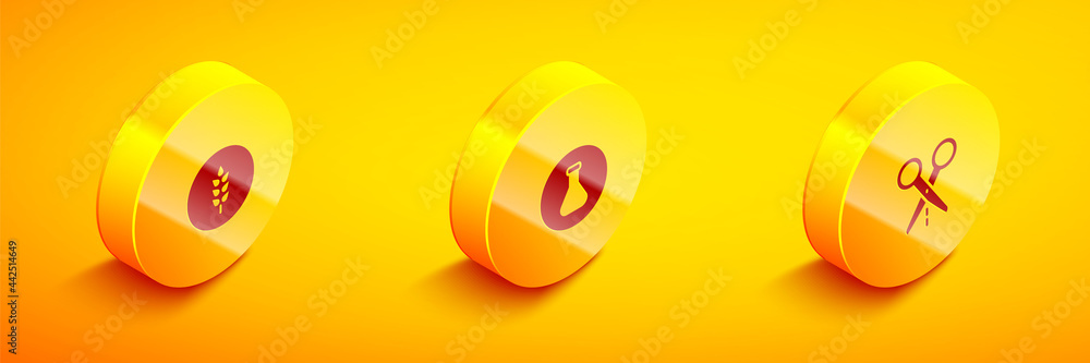 Poster set isometric wheat, test tube and flask and scissors with cut line icon. vector
