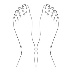 Beautiful female feet barefoot sketch. Black-and-white outline sketch. A design element for spa, manicure or cosmetics.