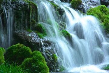 Obraz premium 渓流風景（滝）２