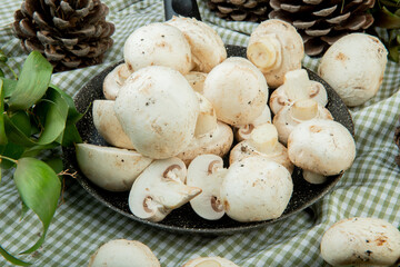 side view of fresh white mushrooms on a frying pan and cones with green leaves on plaid fabric background