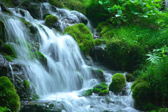【新作安い】滝と渓流風景 自然、風景画