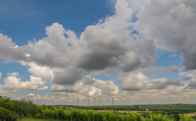 rheinhessische sommerlandschaft