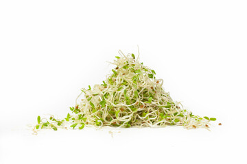 micro-green isolated on white background