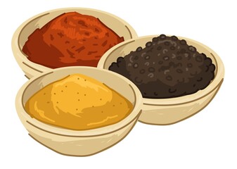 Asian spices and seasoning, food and meal powder