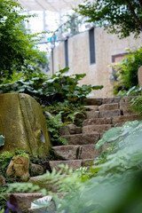 メルヘン石階段