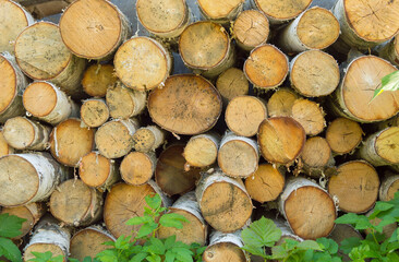 Fototapeta premium Stacks of Firewood. Preparation of firewood for the winter. Pile of Firewood.Firewood background