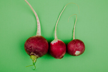 top view of fresh garden radish isolated on green background