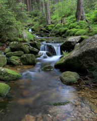 Swieradowka - a mountain stream in the Izera Mountains, Poland, Europe.