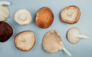 Fototapeta na wymiar top view of fresh mushrooms isolated on light blue background