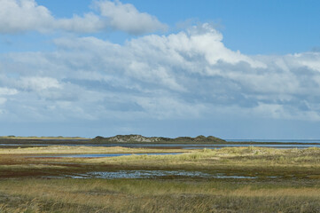 Duinen op Vlieland, Dunes at Vlieland