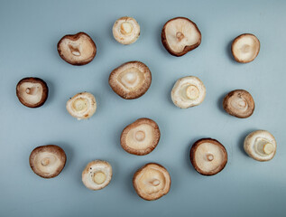 top view of fresh mushrooms isolated on light blue background