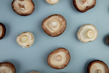 top view of fresh mushrooms isolated on light blue background