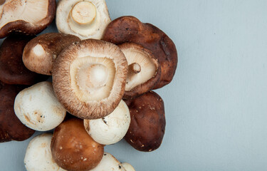 top view of fresh mushrooms isolated on light blue background with copy space