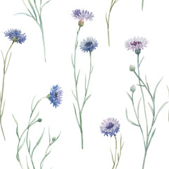 Beautiful seamless floral pattern with hand drawn watercolor gentle wild field flowers cornflower. Stock illuistration.