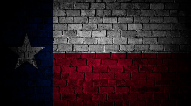 Flag os Texas | USA design on brick wall in grunge style