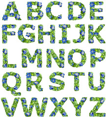  English alphabet made in the form of flowers of liverwort