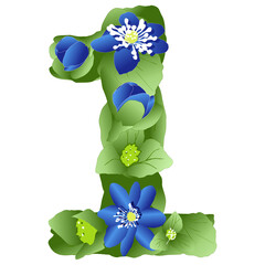 vector image of the number 1 in the form of flowers and leaves of liverwort