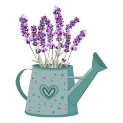 vector image of a garden watering can with a bouquet of lavender