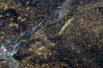 Bubble on a blade of grass in the ice
