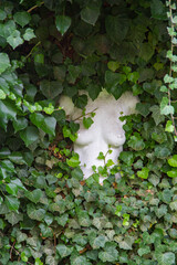 Obraz premium Skulptur Frauenkörper Brüste bad Suderode