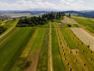 Summer Landscape at Farm Fields. Aerial Drone View