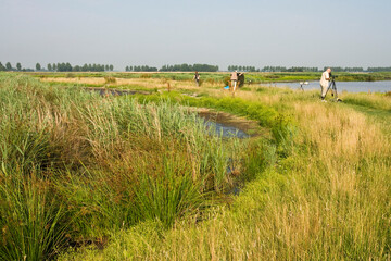 Groene Jonker, Zevenhoven, Netherlands