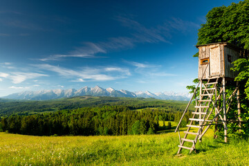 Fototapeta premium Hunting Tower at Green Meadow in Lapszanka Valley in Tatra Mountains, Poland