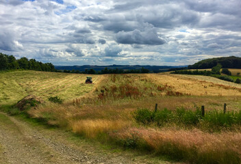 Obraz premium ländliche Idylle 