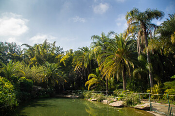Fototapeta na wymiar Pond and palm trees of tropical garden in Yarkon park, Tel Aviv, Israel
