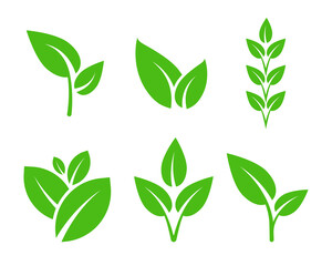 Set of Leaf Plant Icons. Biology Sign Vector Design. Clean Eco Floral Symbol.