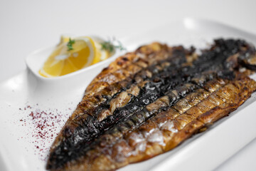closeup of grilled mackerel fish with lemon on plate on white background