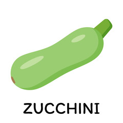 Green Zucchini, vector illustration in cartoon flat stye. Food and vegetable concept. Print for recipes, restaurant, supermarket, market place. Vegetarian fresh food product