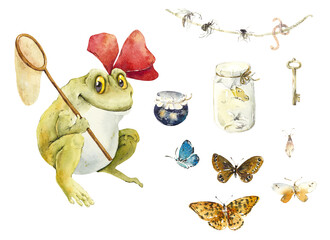 Frog with butterfly net. Fantastic character. Watercolor hand drawing illustration - 442535435