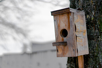 Birdhouse for birds fixed on a tree