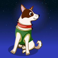 Strelka, Belka and Strelka astronaut dog, USSR dogs in space
