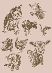 Vector vintage set of domestic animals on sepia background,farm animals