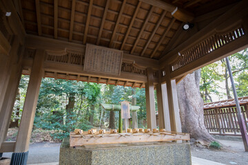 Meiji Shrine  Oldest located in Shibuya, Tokyo, is the Shinto shrine that is dedicated to the deified spirits of Emperor Meiji.