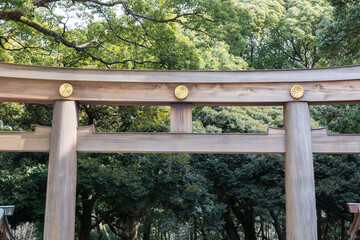 Fototapeta premium Meiji Shrine Oldest located in Shibuya, Tokyo, is the Shinto shrine that is dedicated to the deified spirits of Emperor Meiji.
