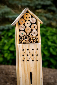 Insect Box In A Garden Attracts Beneficial Insects.