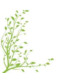 Green tree branch. Branch silhouette isolated on white background with a lot of leaves. Vector