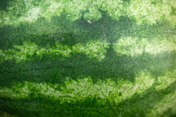 Fototapeta premium Watermelon as background or texture