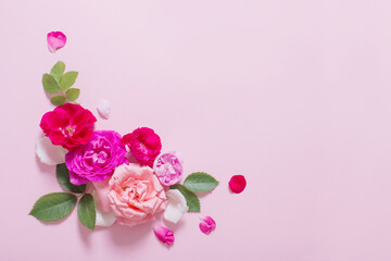 Obraz na płótnie Canvas beautiful roses on pink paper background