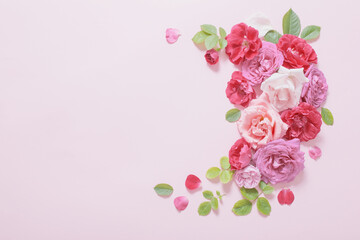 beautiful roses on pink paper background