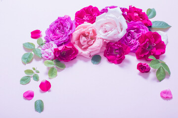 beautiful roses on pink paper background