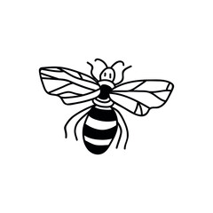Single hand drawn bee. Doodle vector illustration. Isolated on a white background.