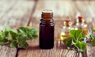 A bottle of marjoram essential oil with fresh marjoram. Alternative medicine or aromatherapy.