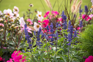 Keywords -- Keywords must be descriptive of the subject matter a